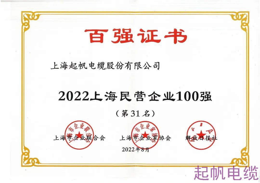 2022年上海民營(yíng)企業(yè)100強(qiáng) 2022年上海民營(yíng)企業(yè)100強(qiáng)